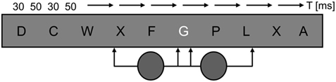 www.frontiersin.org