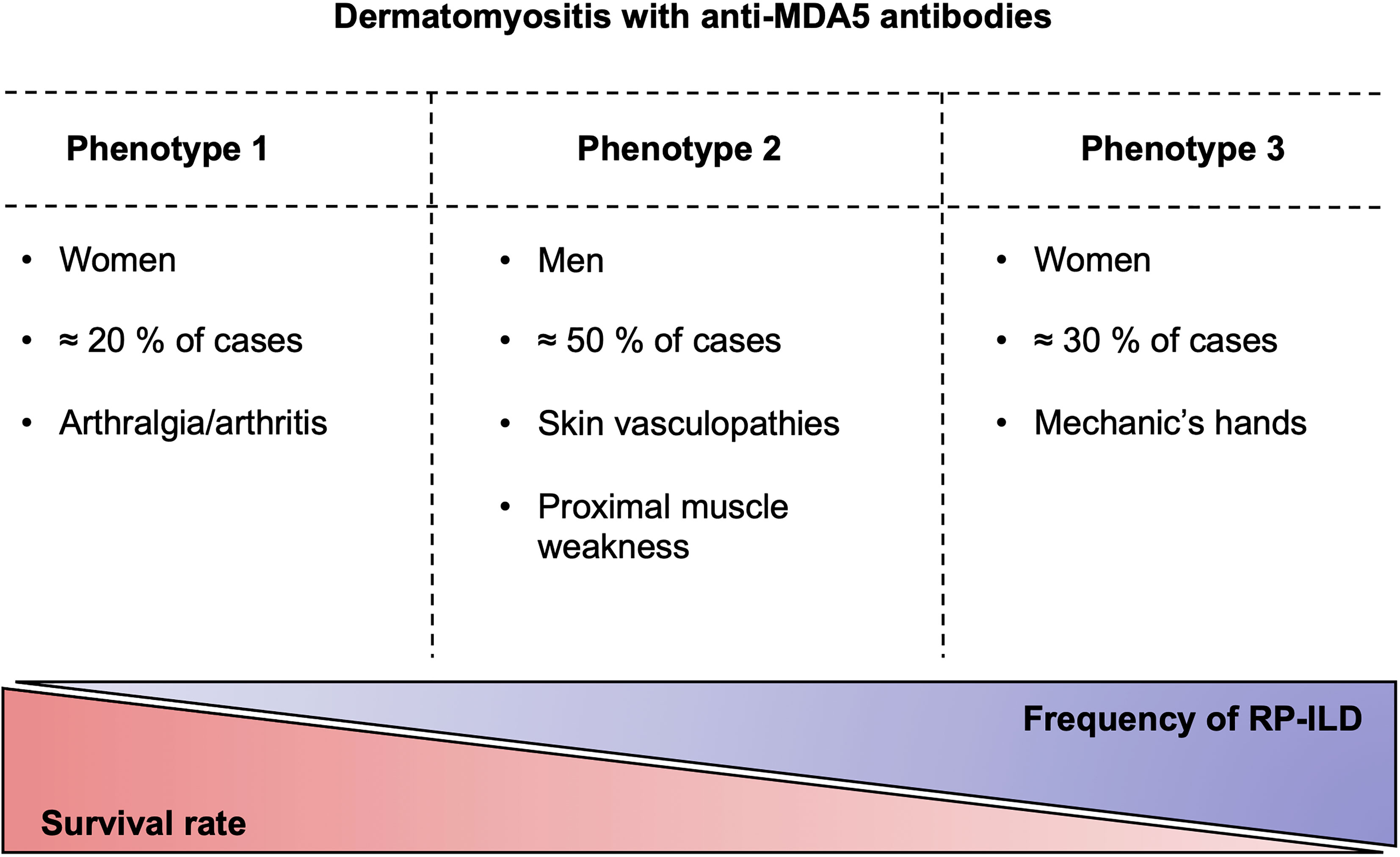 frontiers dermatomyositis with anti mda5 antibodies bioclinical features pathogenesis and emerging therapies immunology