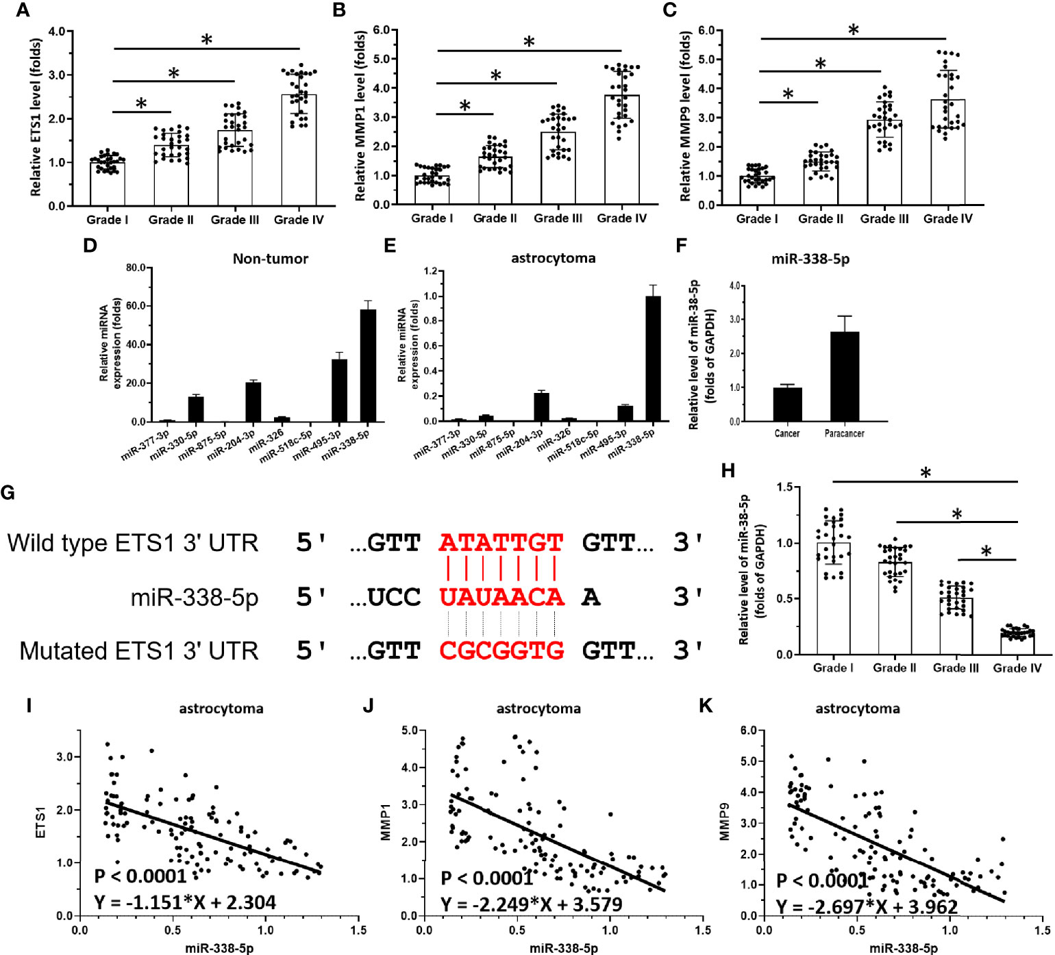 Frontiers | Hypermethylation of the Promoter of miR-338-5p