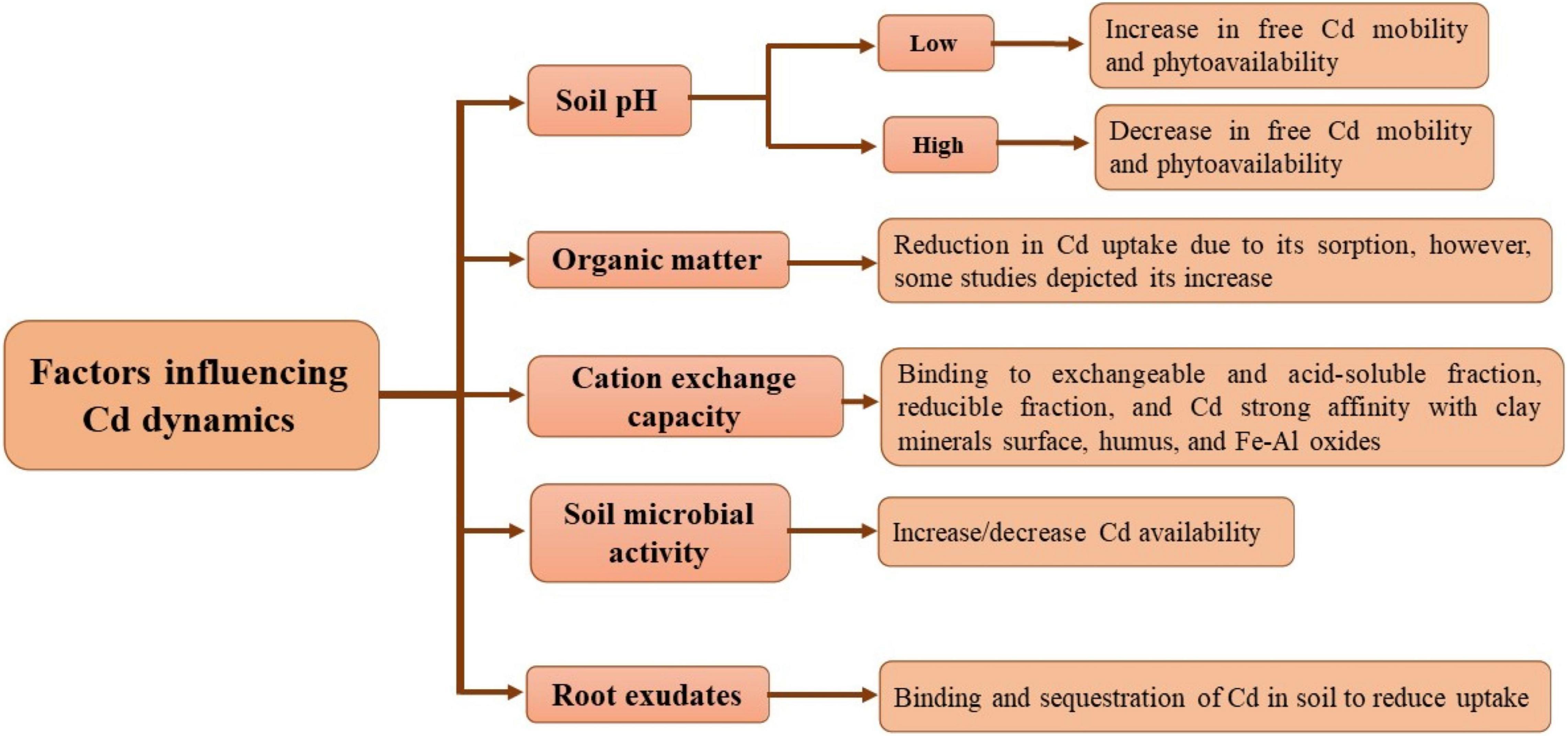 Frontiers | Cadmium Phytotoxicity, Tolerance, and Advanced 