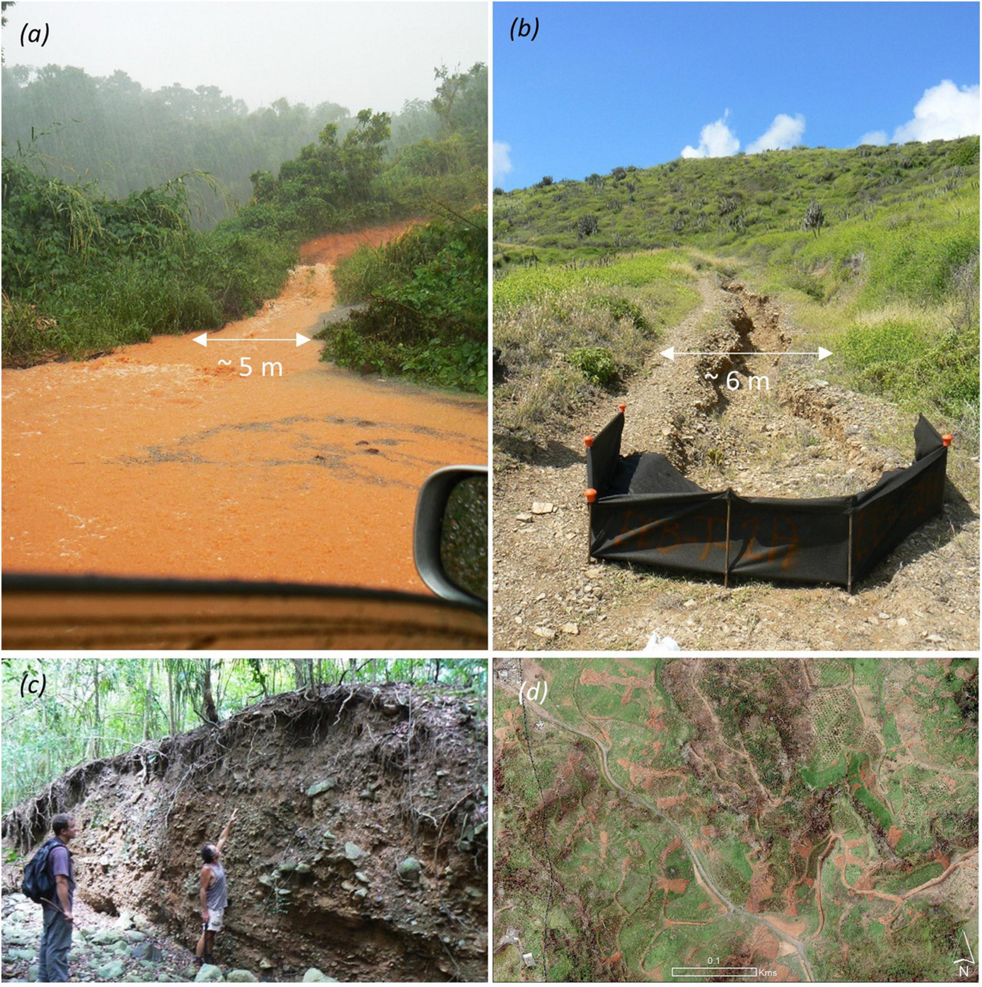 e Sedimentation problems and their possible cause.