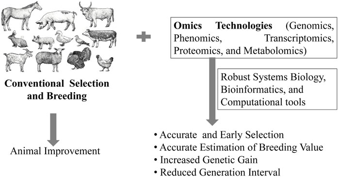 Frontiers | Applications of Omics Technology for Livestock Selection and  Improvement