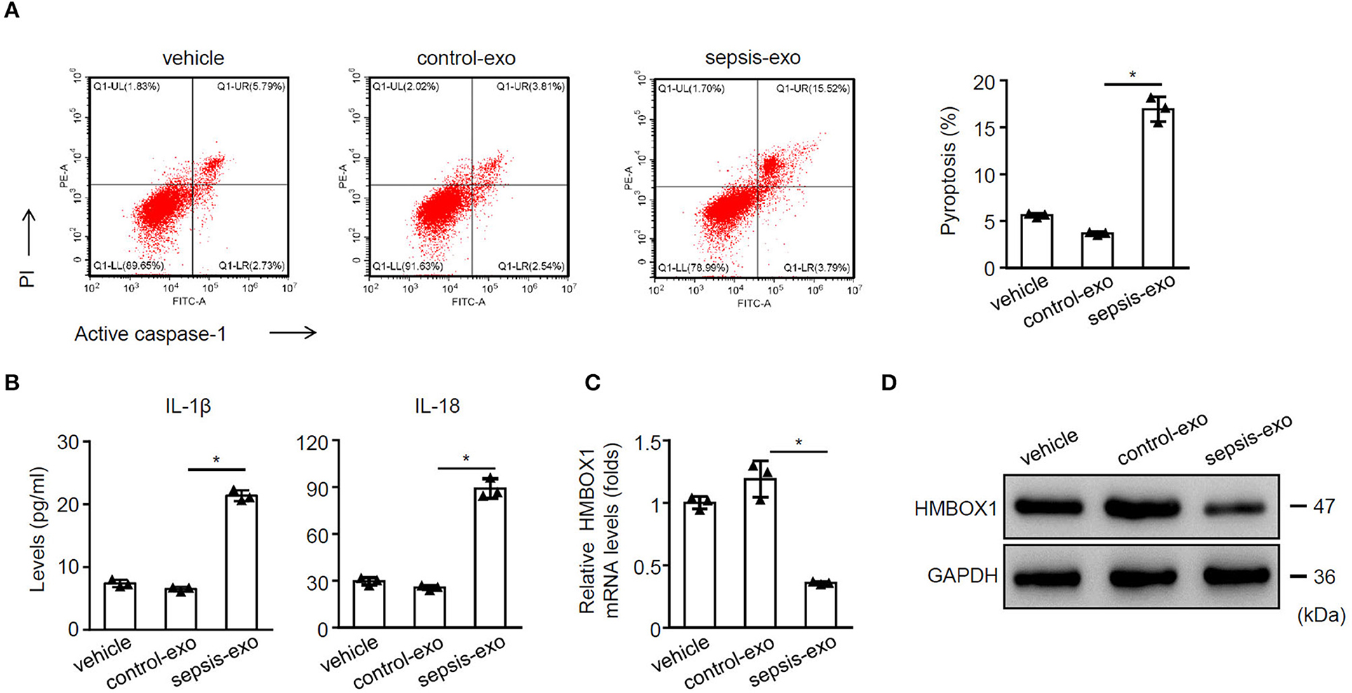 Frontiers Exosome Derived From Sepsis Patients Blood Promoted