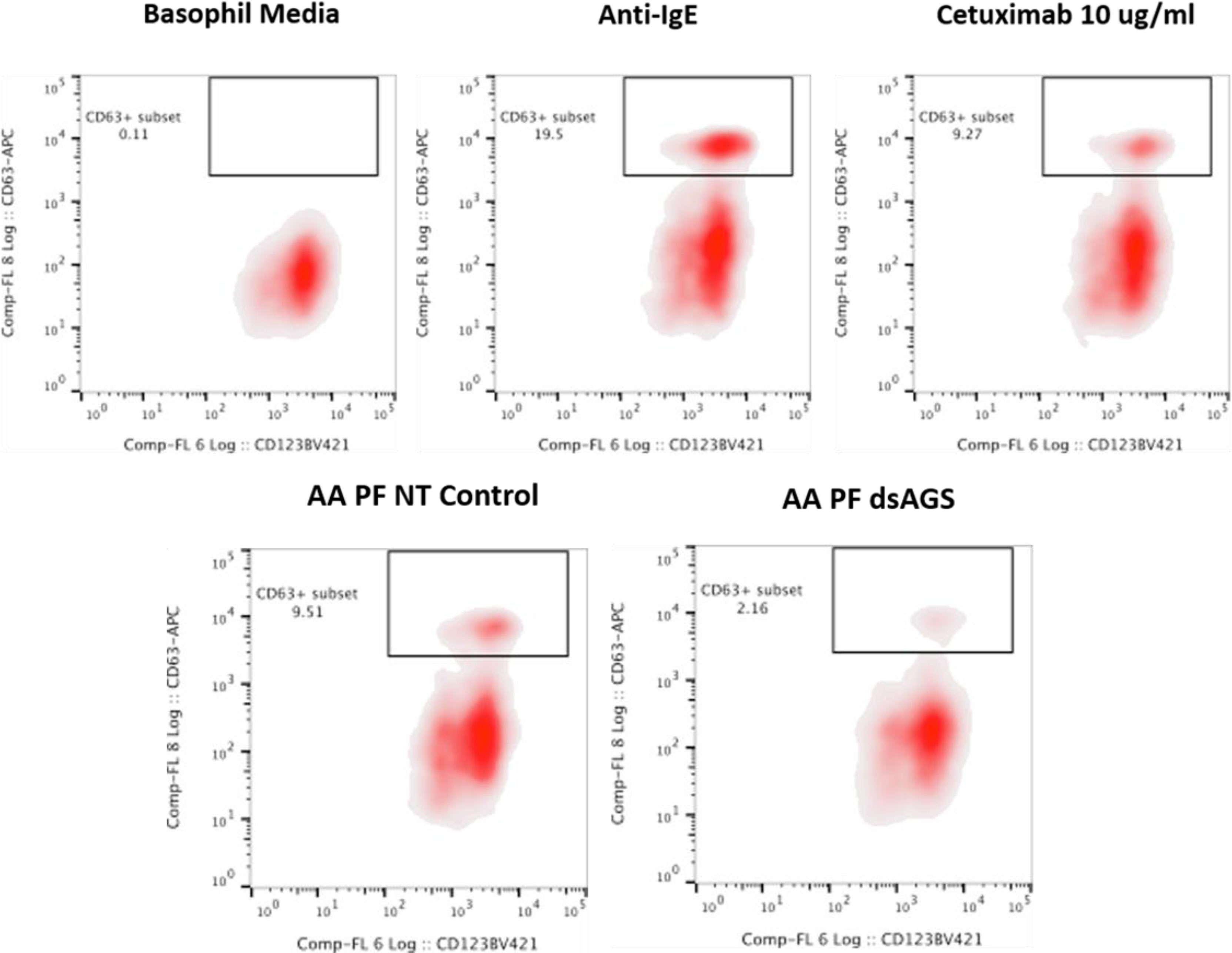 Modeling Congenital Disorders of N-Linked Glycoprotein