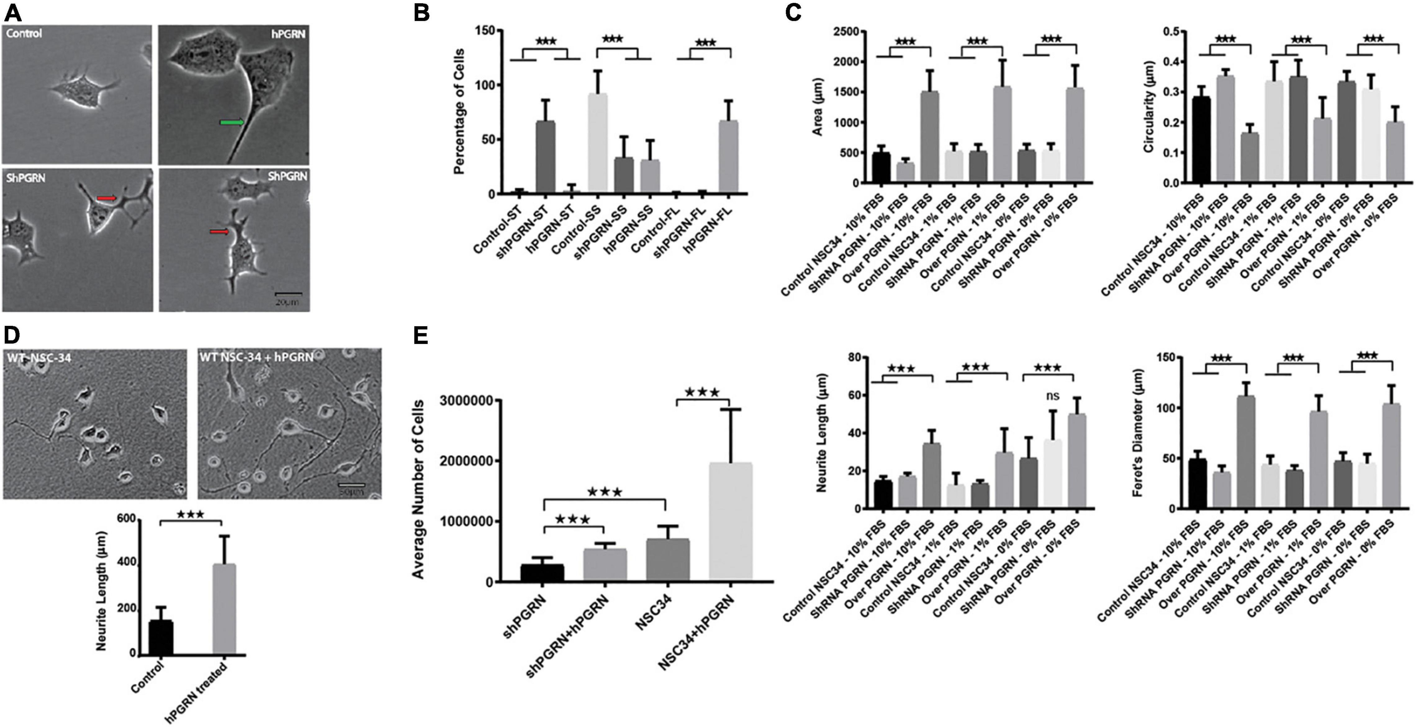 Presynaptic Dysfunction in Neurons Derived from Tay–Sachs iPSCs