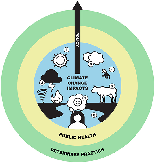 Frontiers | Empowering Veterinarians to Be Planetary Health Stewards  Through Policy and Practice