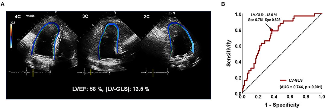 Global longitudinal strain: clinical use and prognostic