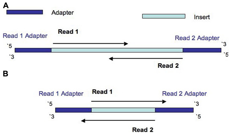 Hårdhed Inhibere assistent Frontiers | Assessment of Insert Sizes and Adapter Content in Fastq Data  from NexteraXT Libraries