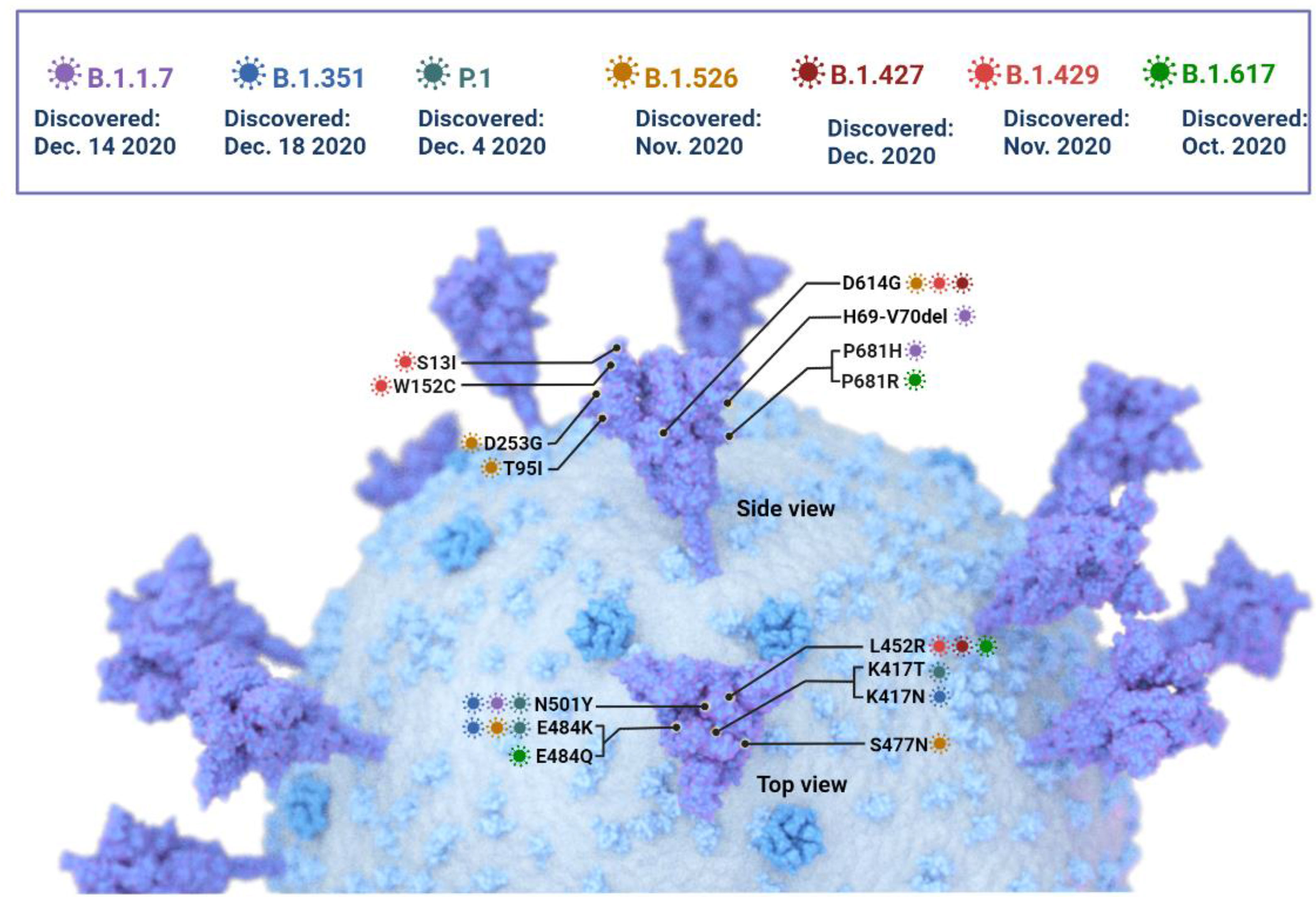 Frontiers Sars Cov Emergence Of New Variants And Effectiveness Of