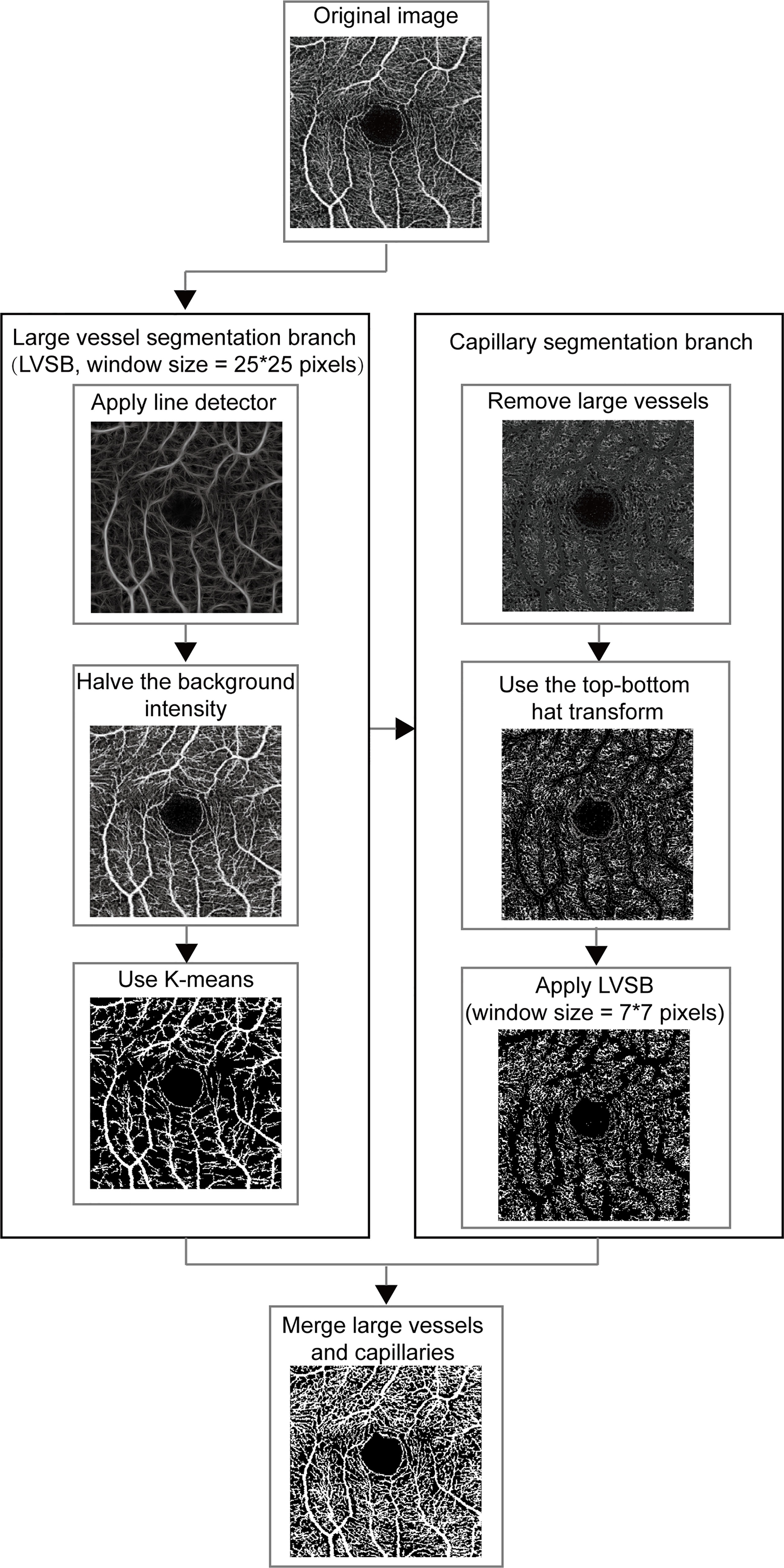 Frontiers | Association Between the Severity of Diabetic