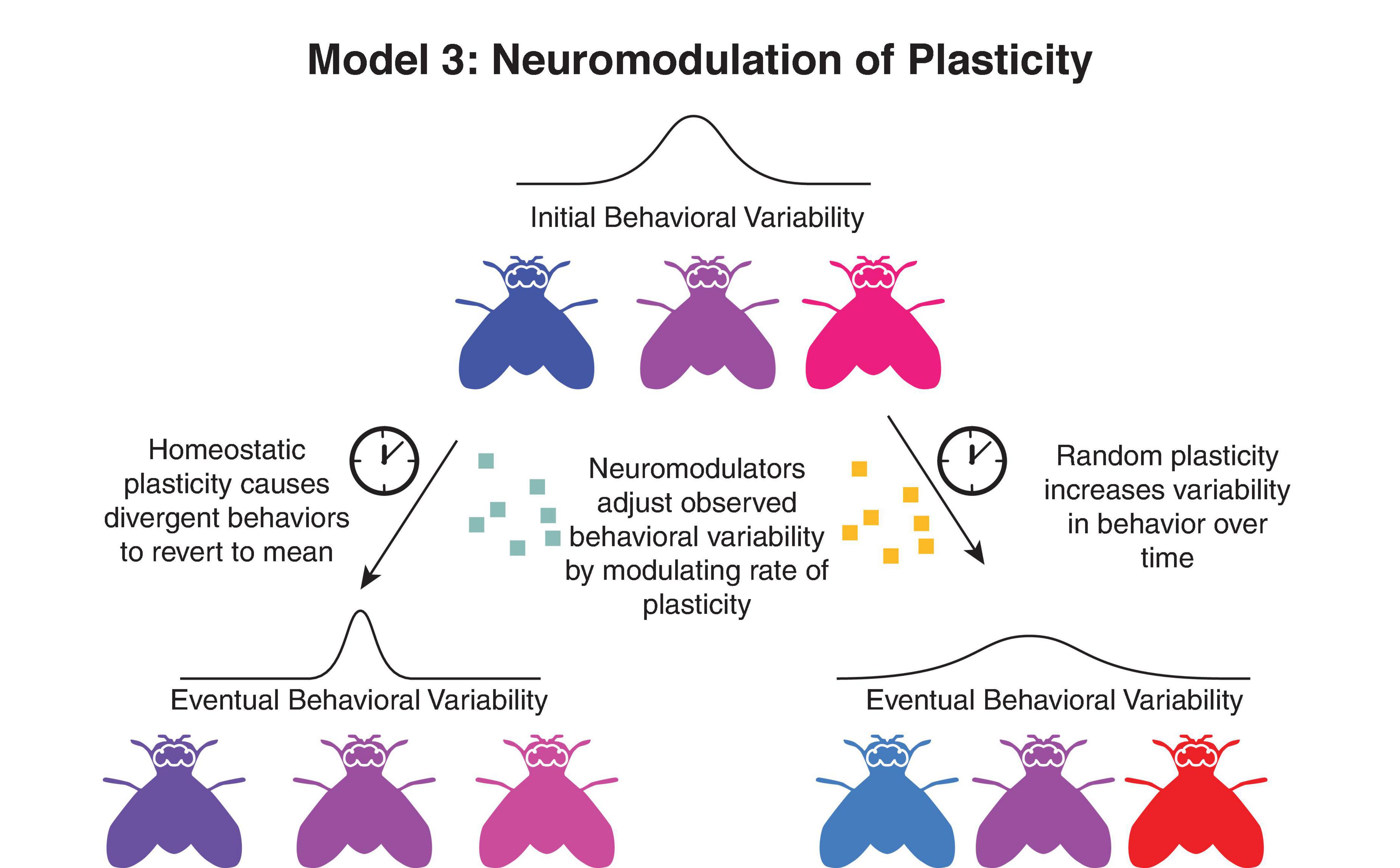 Frontiers Neuromodulation And Individuality