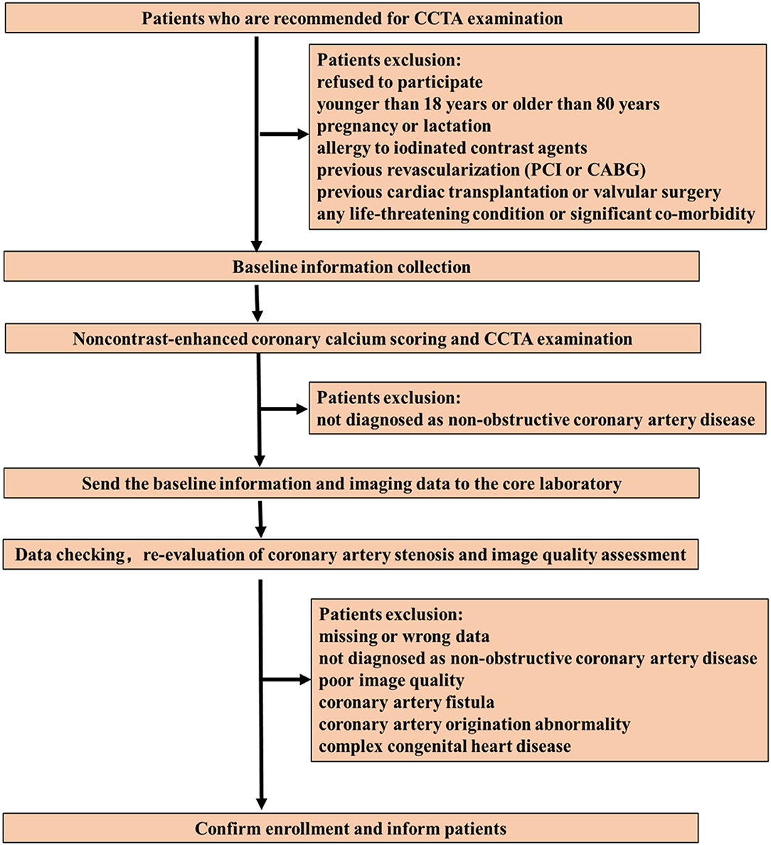 Contrast Media with and without Calcium for Cardioangiography in