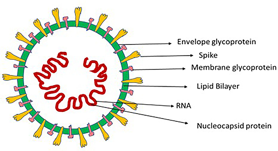 Prevent the spread of virus with LV hand sanitisers - LV