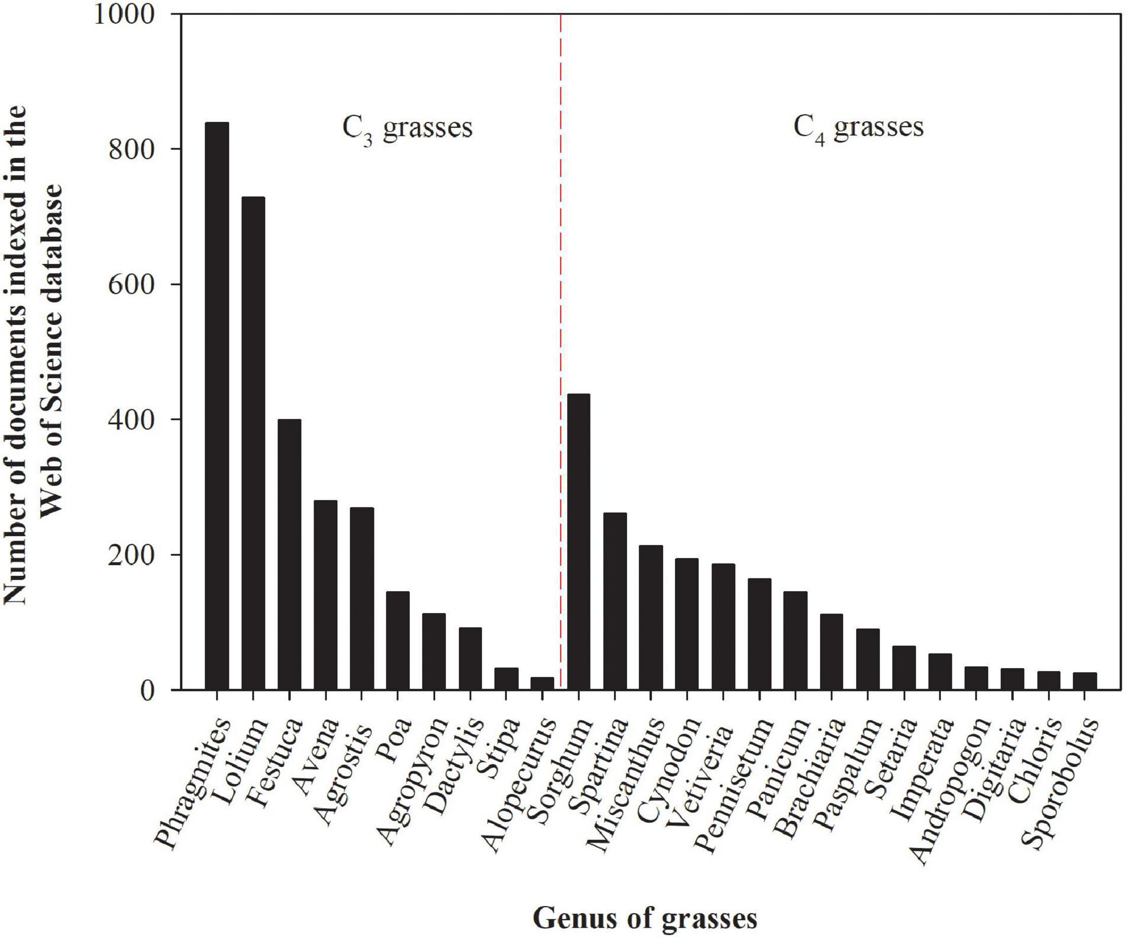 Zinc Phytoremediation Using Stubborn Grass