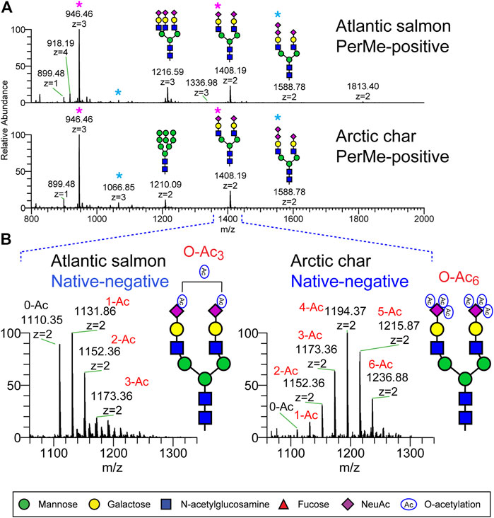 N-Glycans detected in serum of channel catfish by NSI-MSn. N