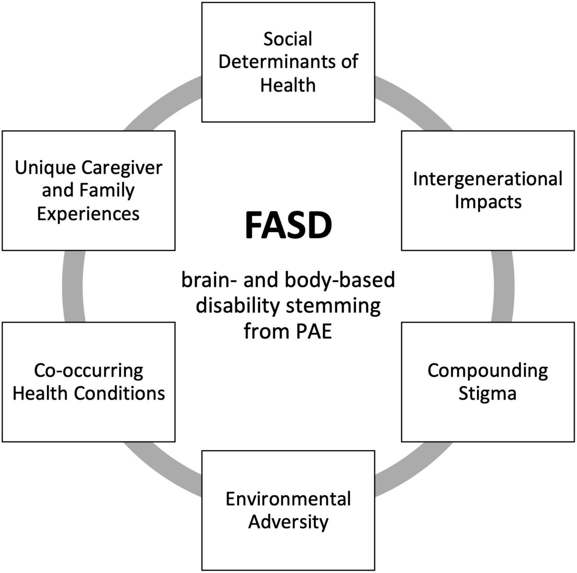 fetal alcohol syndrome research paper