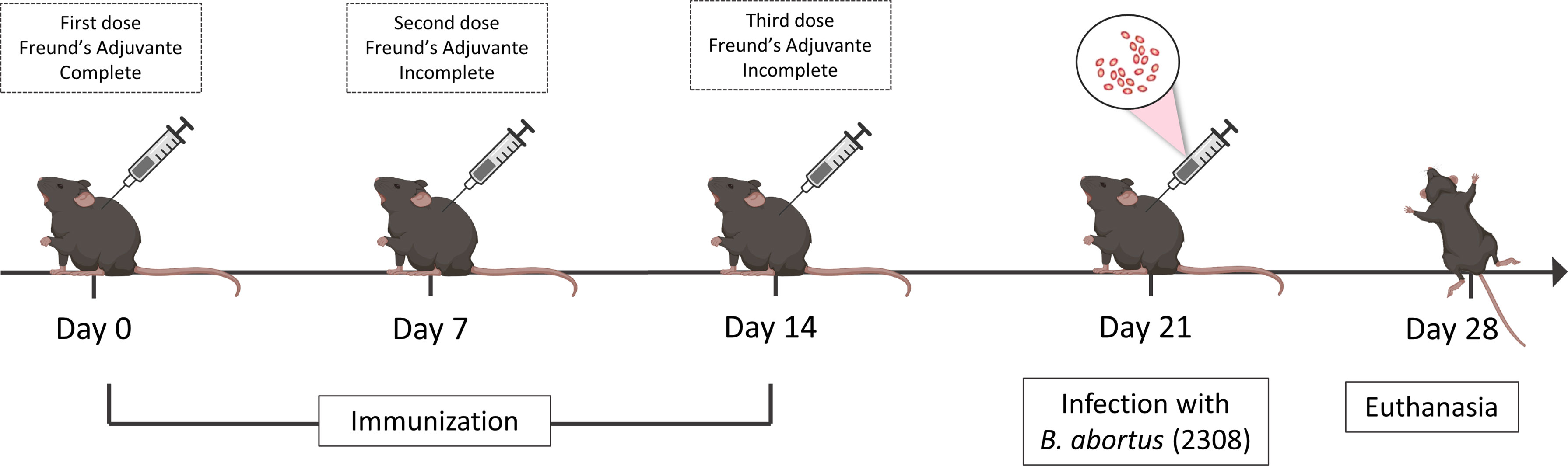 www.frontiersin.org