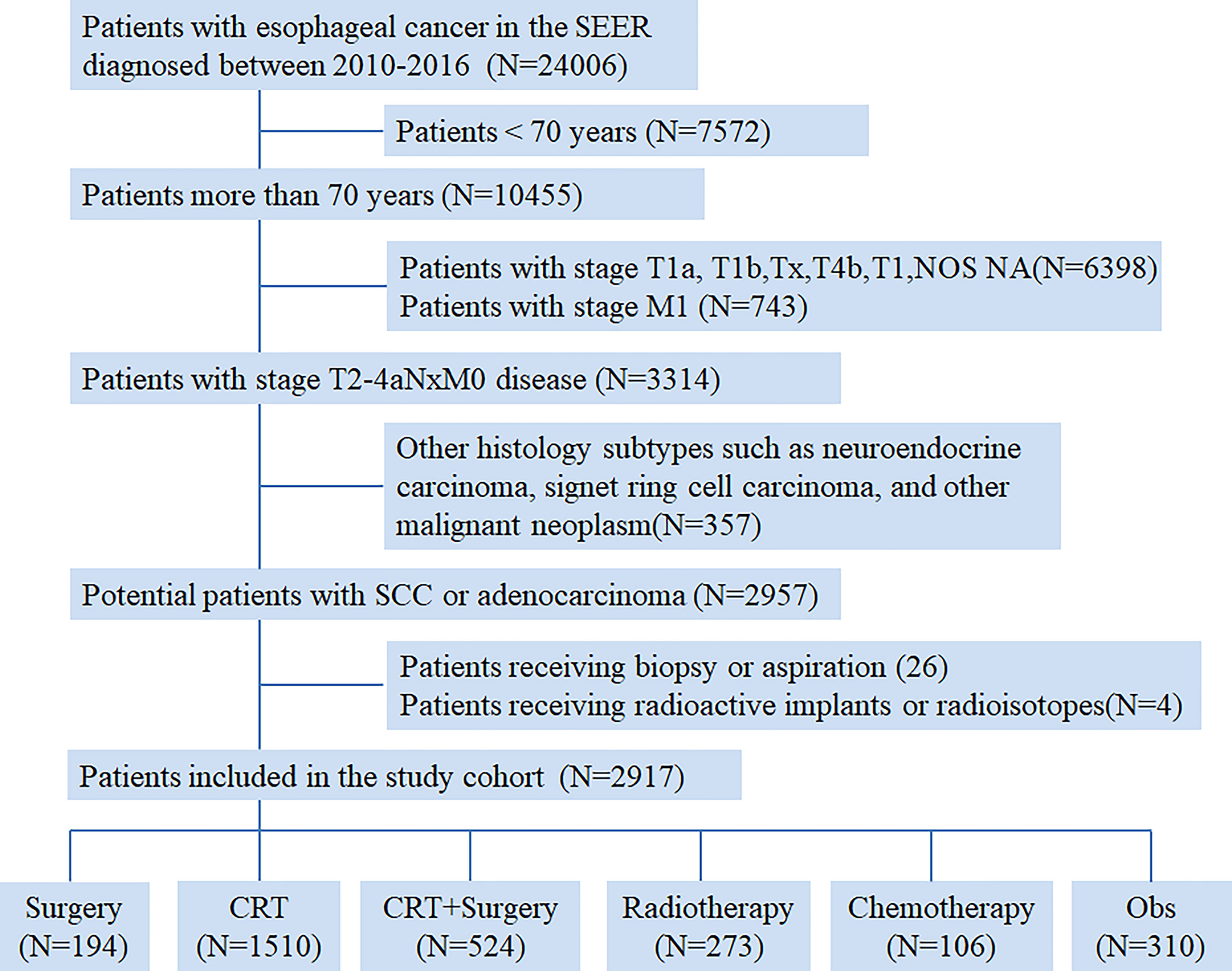 Frontiers | Treatment Patterns and Outcomes of Elderly Patients With ...