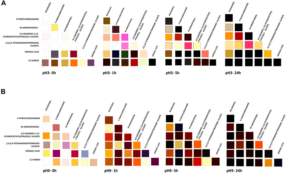 Pigments vs. Dyes - What Is The Difference? – Sculpey