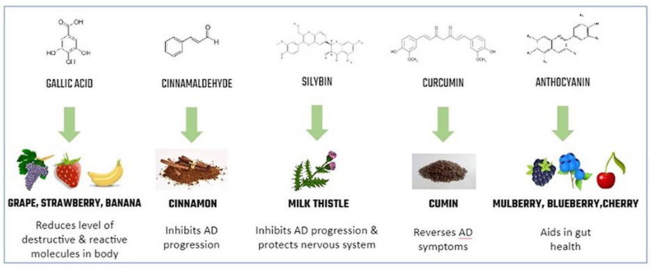 Figure 3 - Common nutraceuticals and their benefits.