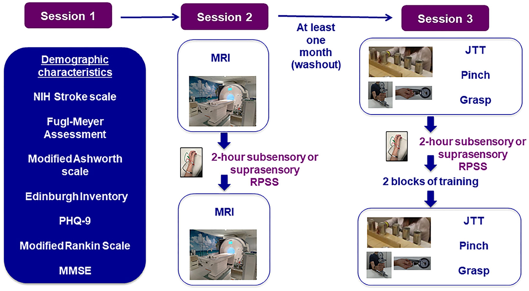 1084px x 597px - Frontiers | Effects of Repetitive Peripheral Sensory Stimulation in the  Subacute and Chronic Phases After Stroke: Study Protocol for a Pilot  Randomized Trial