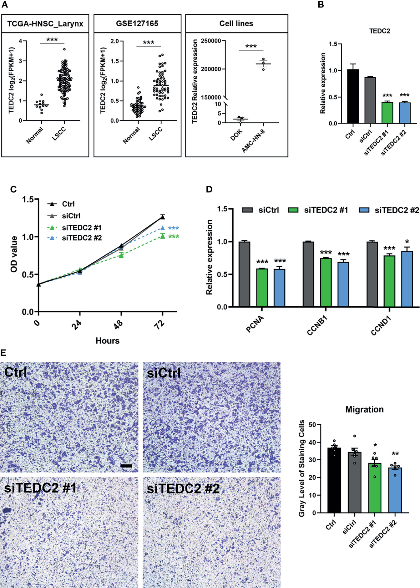Frontiers | Identification of Novel Prognostic Markers