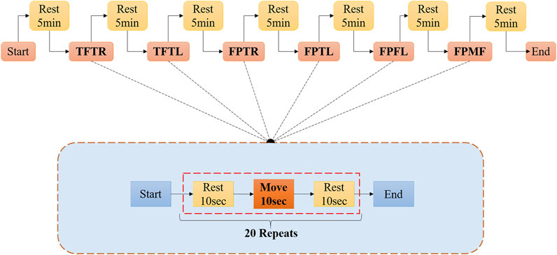 Frontiers | Dynamic Gesture Recognition Using Surface EMG Signals Based ...