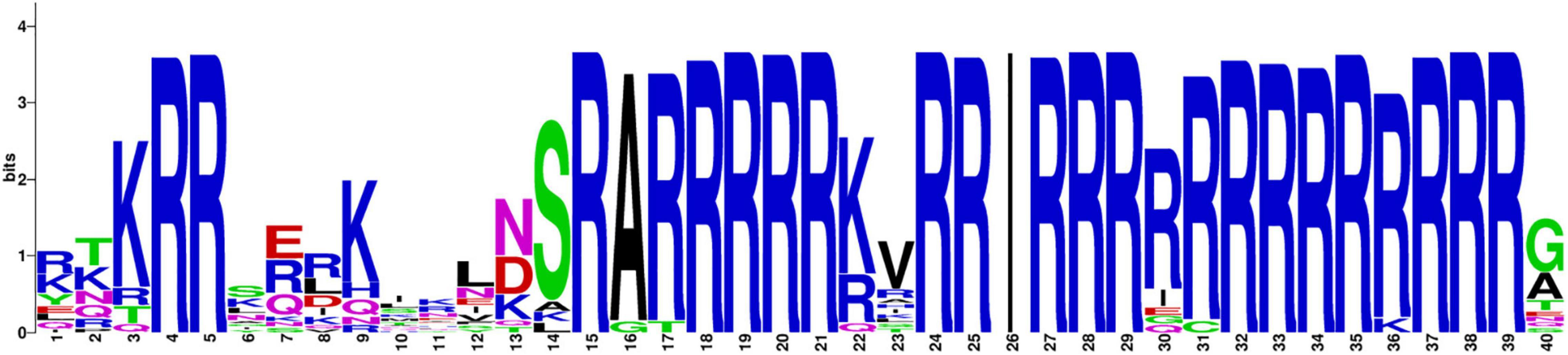 www.frontiersin.org