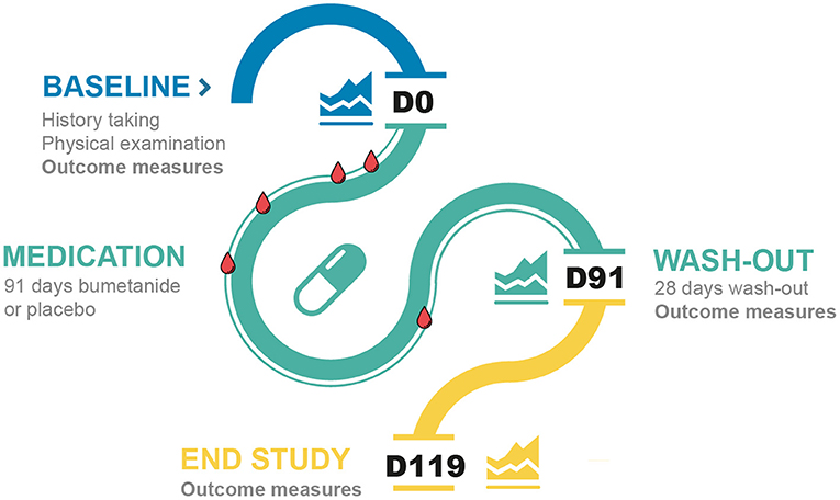 Frontiers | Bumetanide for Irritability in Children With Sensory Processing  Problems Across Neurodevelopmental Disorders: A Pilot Randomized Controlled  Trial