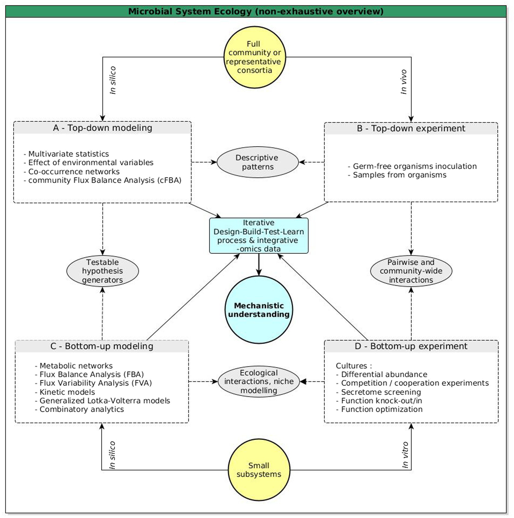 Genome-driven evolutionary game theory helps understand the rise of  metabolic interdependencies in microbial communities