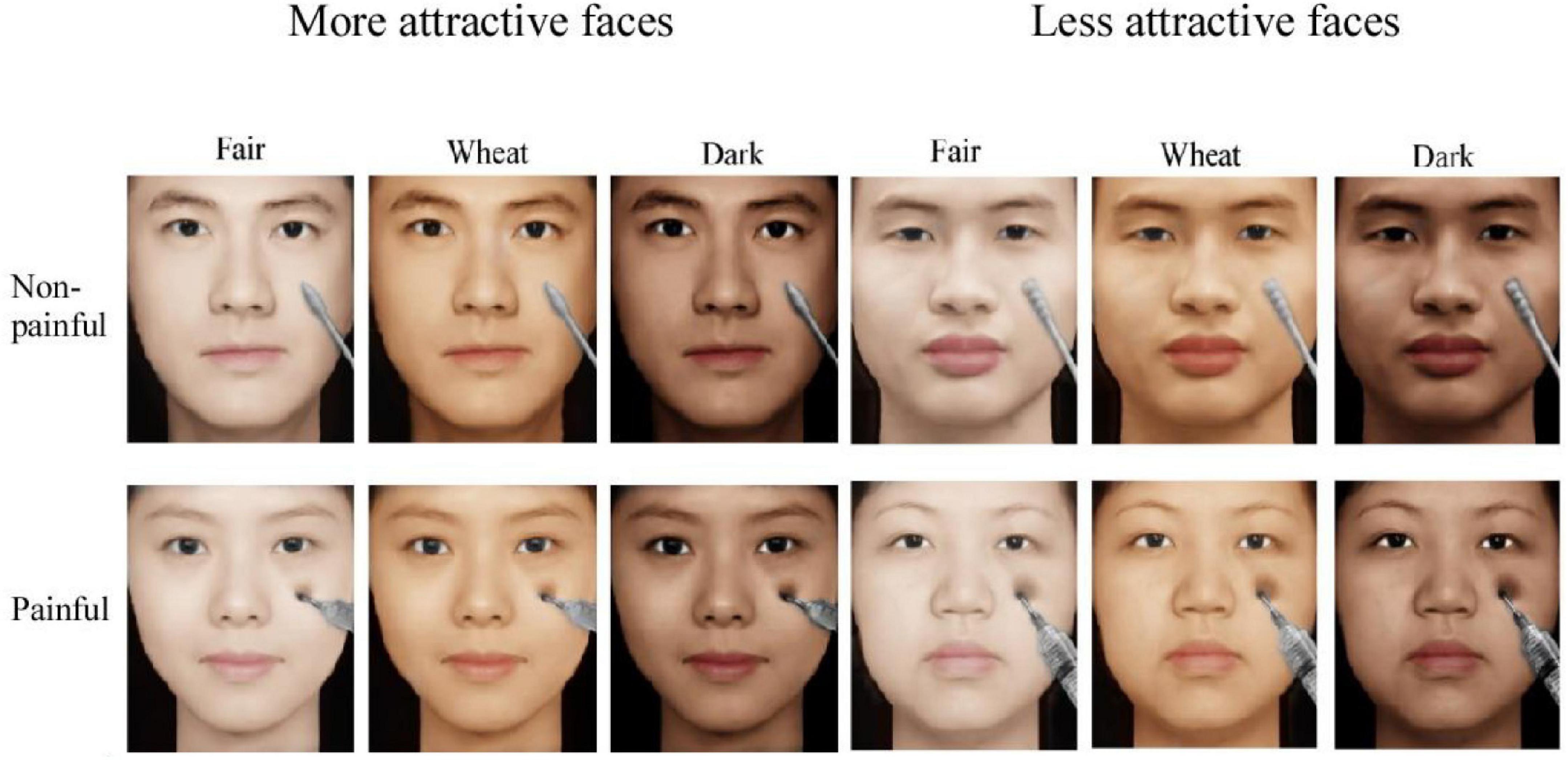 tono compañero Oblea Frontiers | Skin Color and Attractiveness Modulate Empathy for Pain: An  Event-Related Potential Study