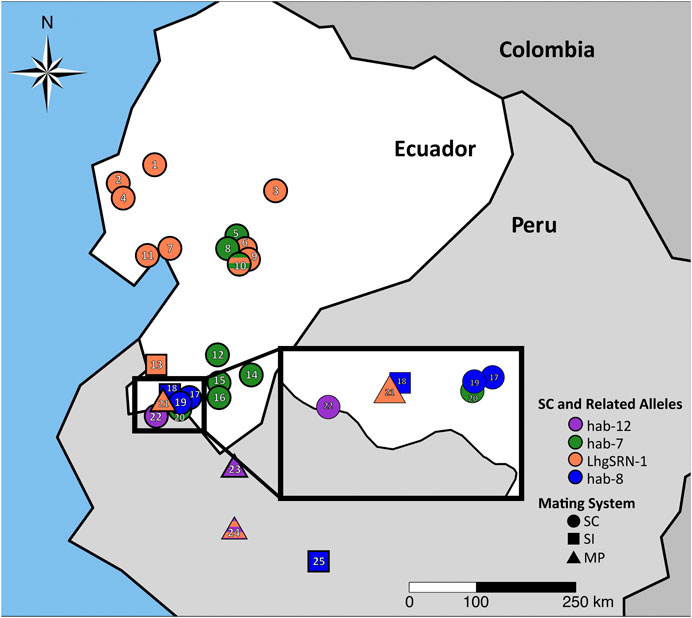 www.frontiersin.org