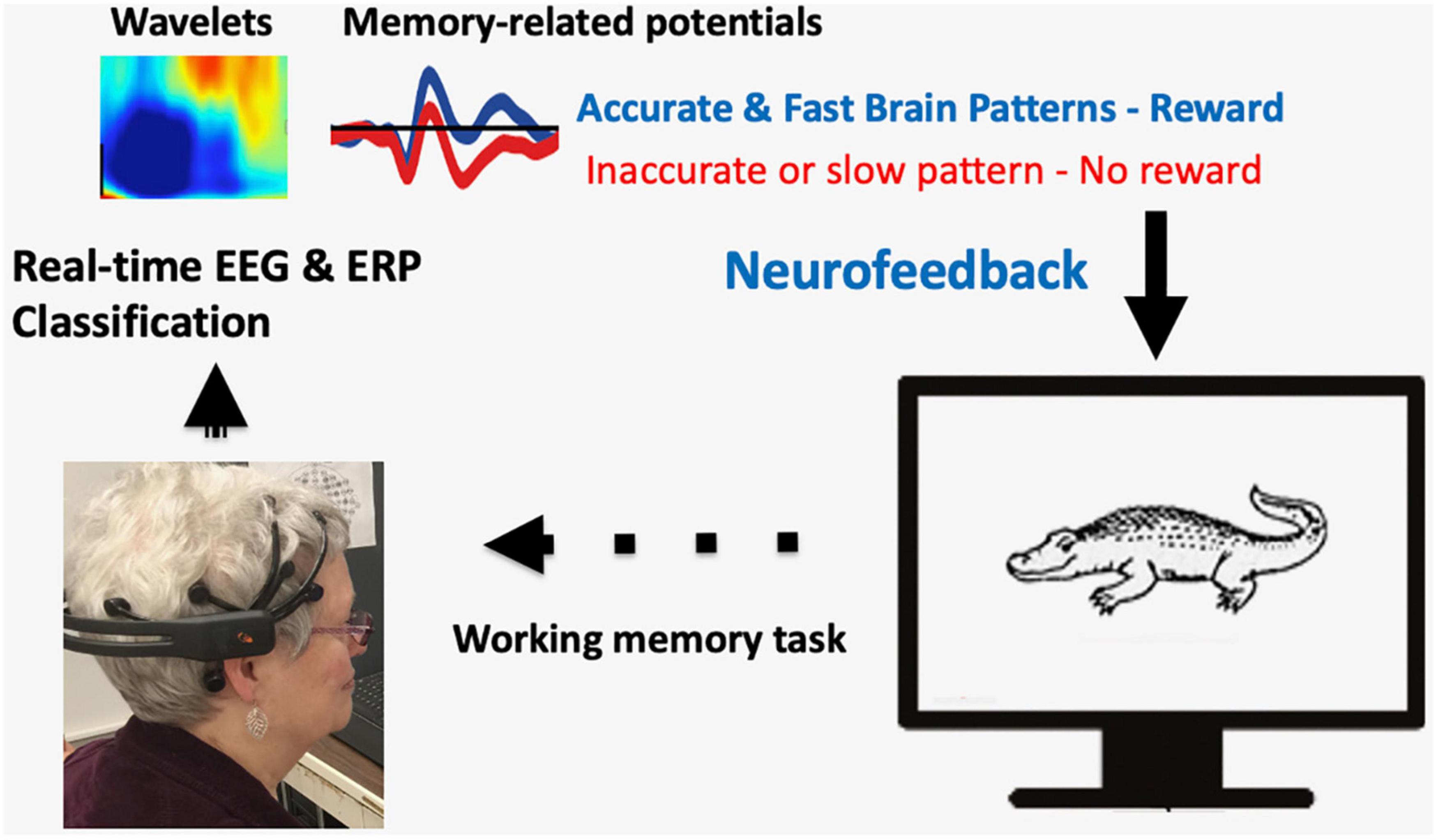 PDF) Evidence-Based Information on the Clinical Use of Neurofeedback for  ADHD