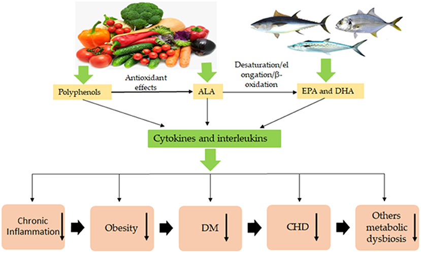 Frontiers | Polyphenols and ω-3 PUFAs: Beneficial Outcomes to Obesity and  Its Related Metabolic Diseases