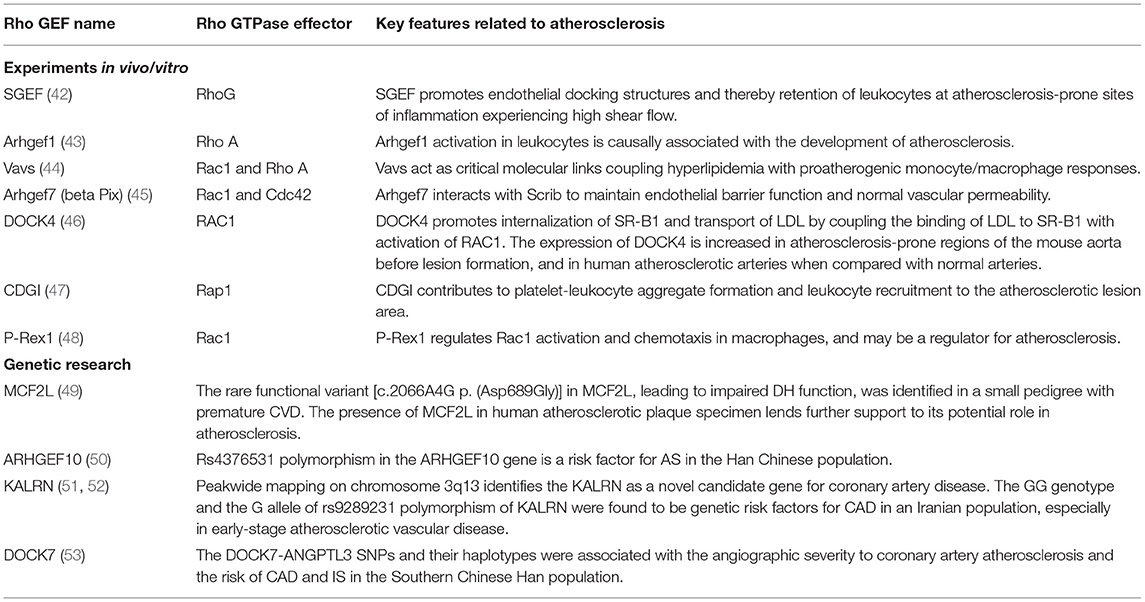 Frontiers  The Emerging Role of Rho Guanine Nucleotide Exchange