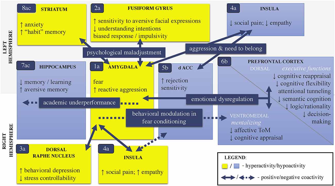 Effect of muscle dysmorphia on image-and-performance-enhancement drugs use  intentions in a non-clinical sample: The role of social cognition -  ScienceDirect