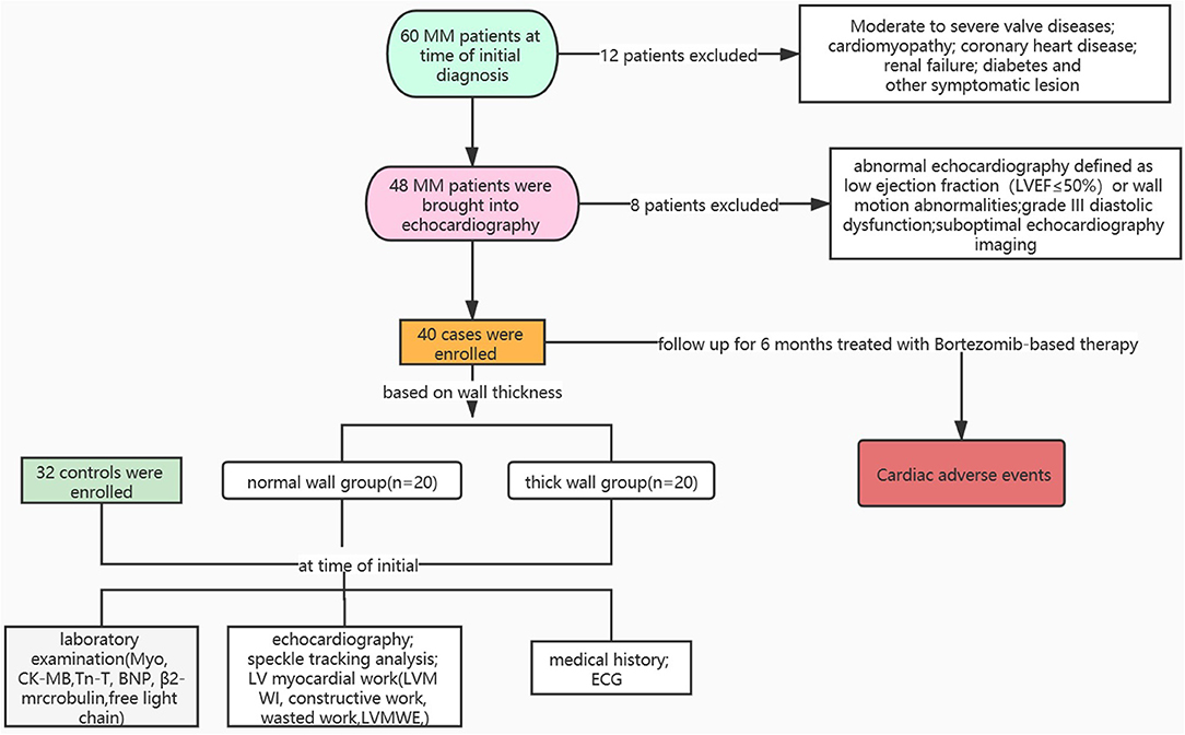 Abnormal left ventricular global strain during exercise-test in