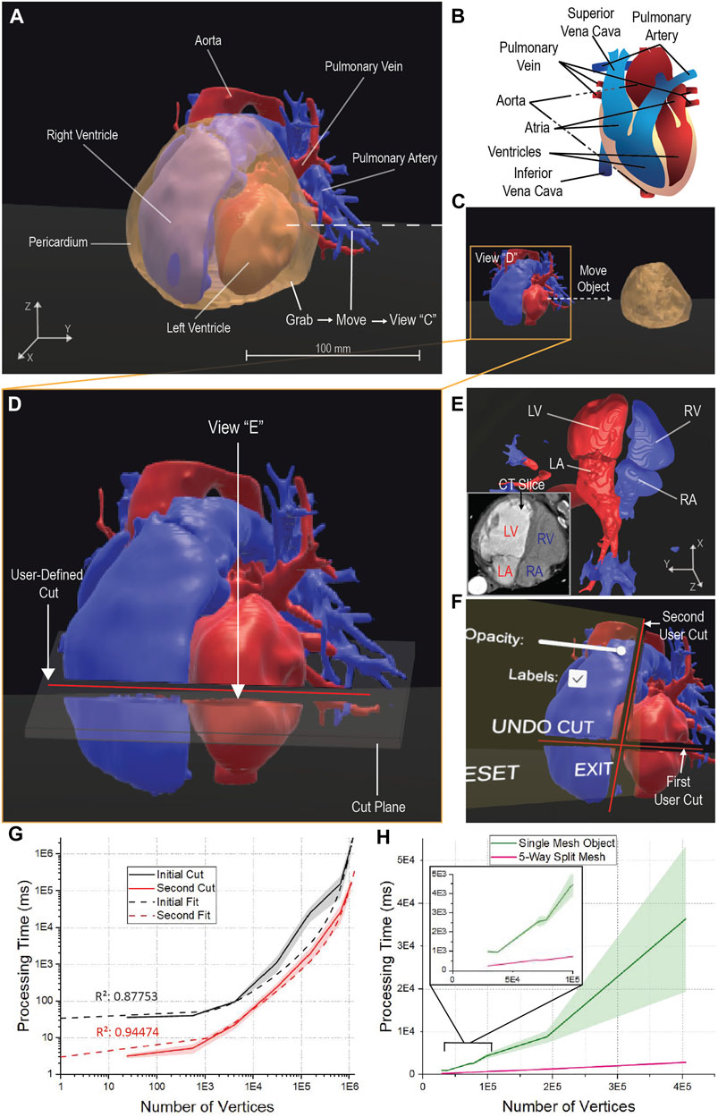 Novel 3D/VR Interactive Environment for MD Simulations, Visualization and  Analysis