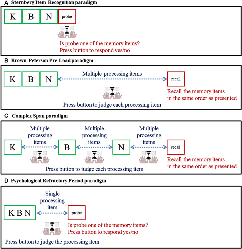 Cognitive processes. Schemas for presentations.