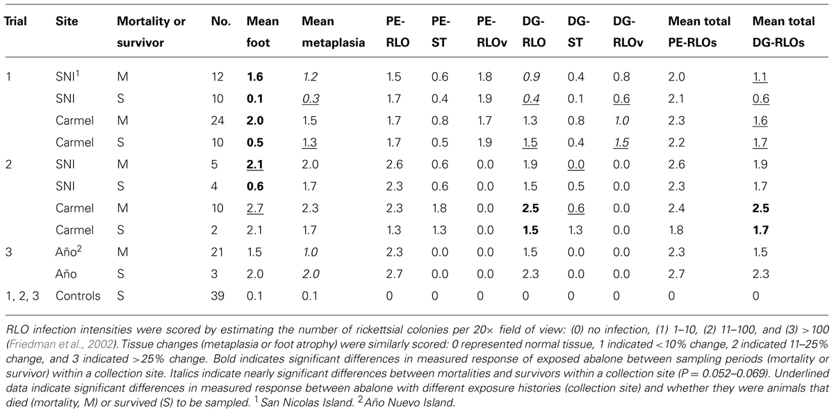 Gai Score Chart