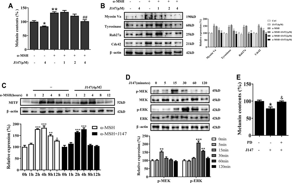 j147 anti-imbatranire