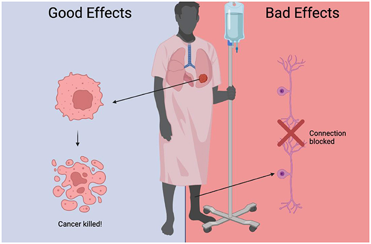 Figure 1 - Chemotherapy kills cancer cells, but it can also have unwanted side effects.