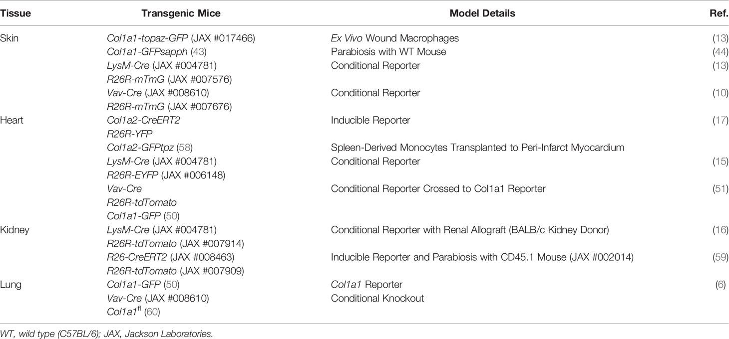 Frontiers  Fibrocytes: A Critical Review and Practical Guide