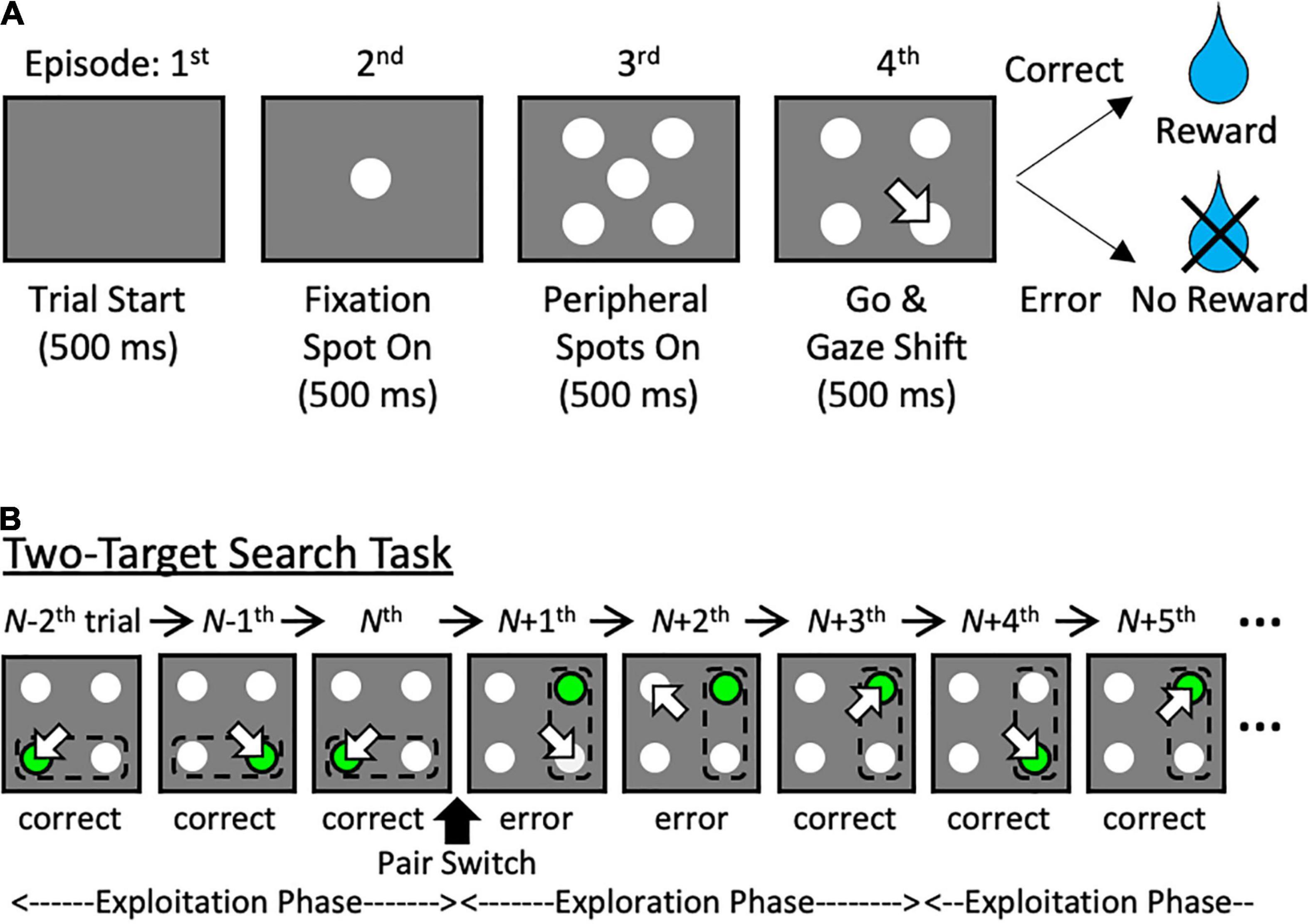 midpoint assignment target search