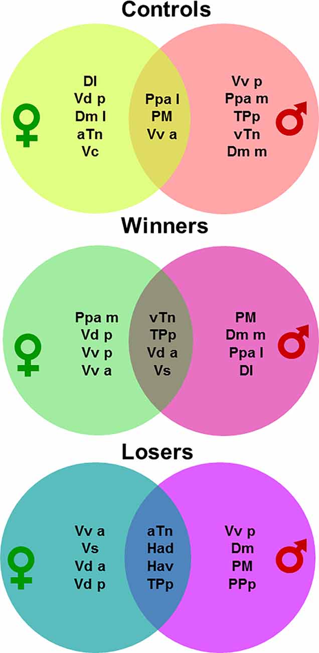 www.frontiersin.org