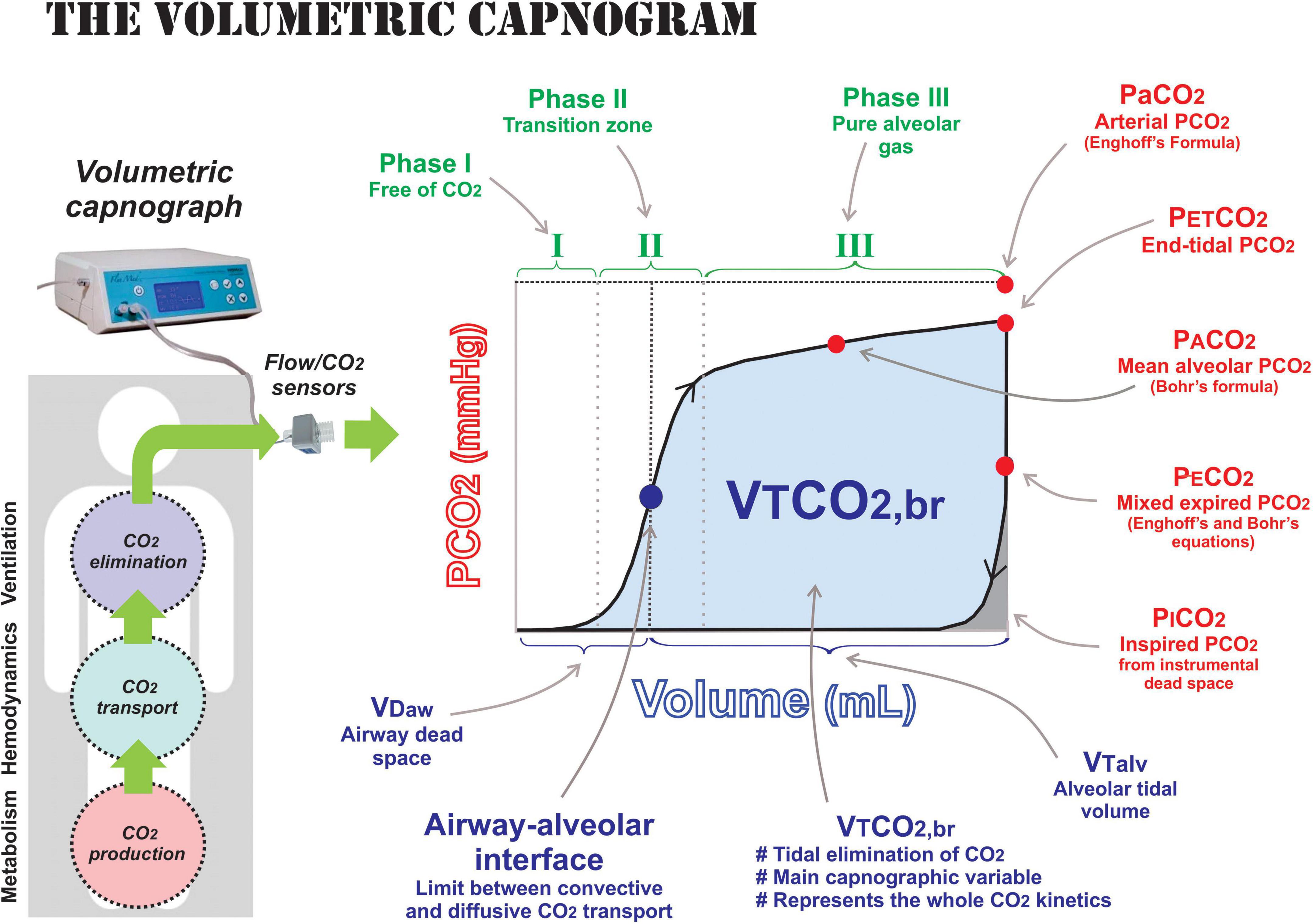 Frontiers Monitoring Expired CO2 Kinetics To Individualize Lung 