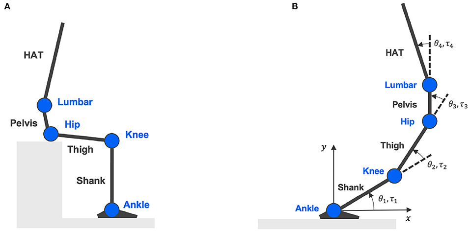 PDF) Specificity of surface EMG recordings for gastrocnemius during upright  standing