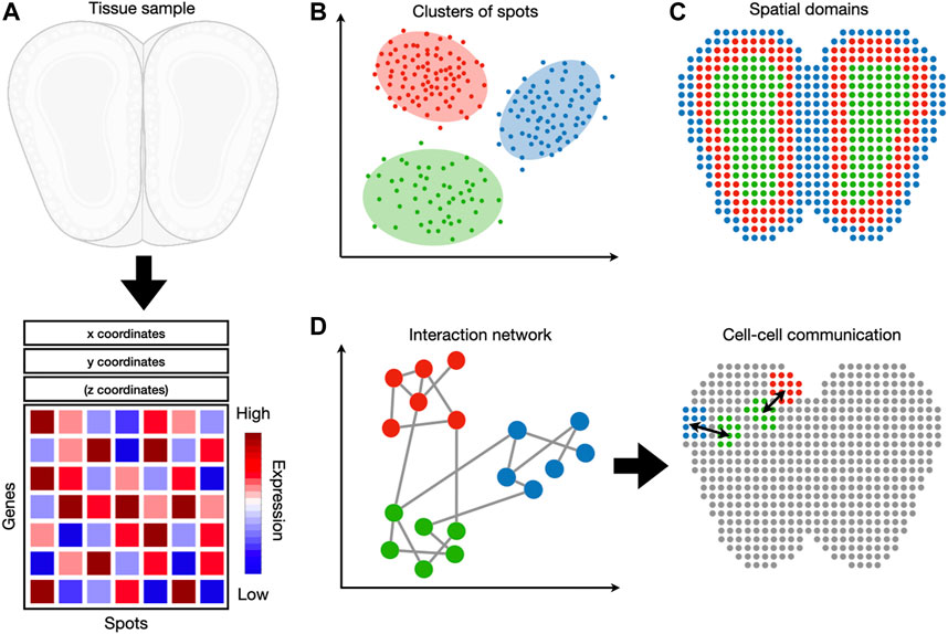 Slides Introduction To Transcriptomics Introduction To