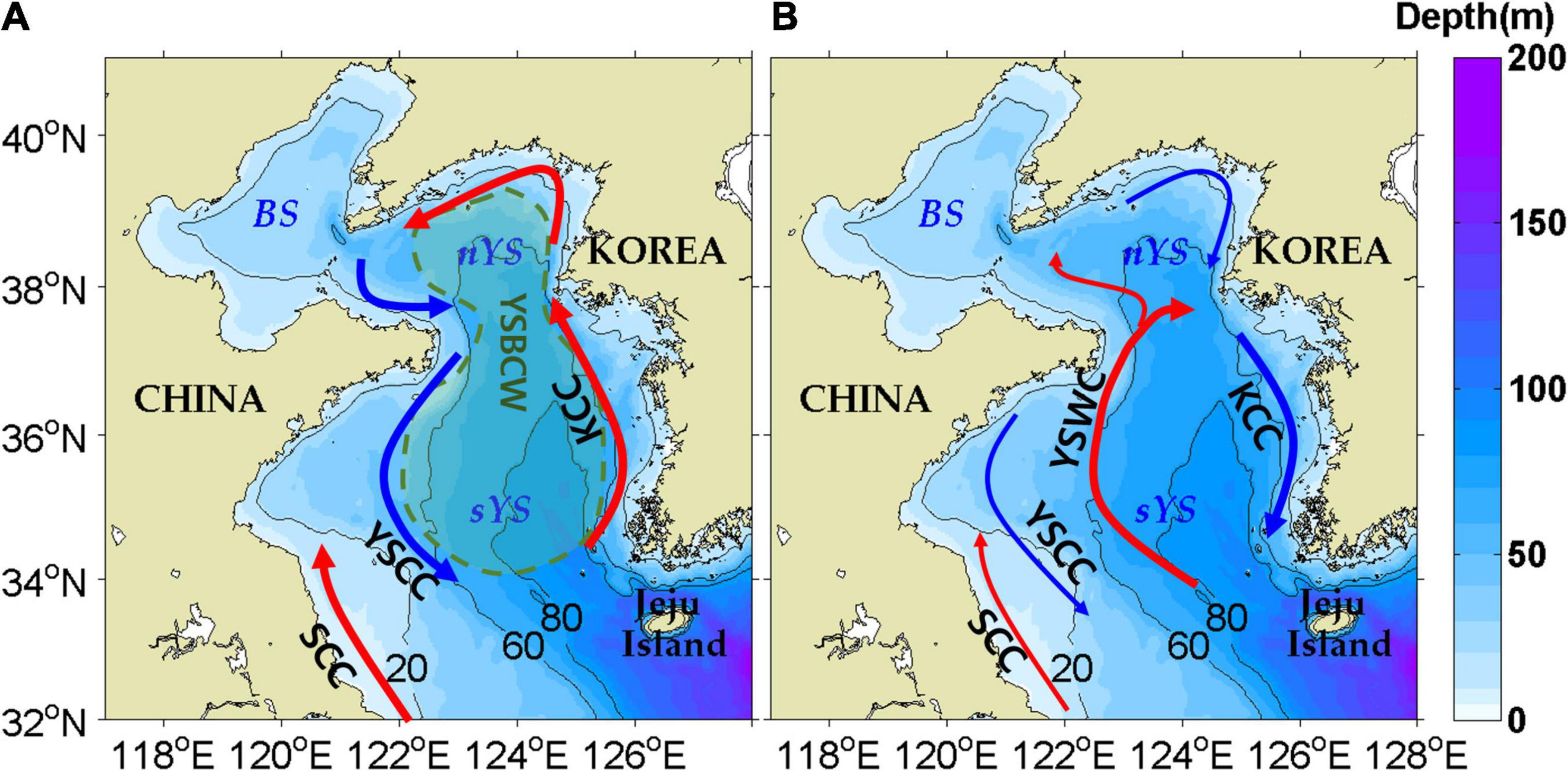 Full article: Different Generating Mechanisms for the Summer Surface Cold  Patches in the Yellow Sea