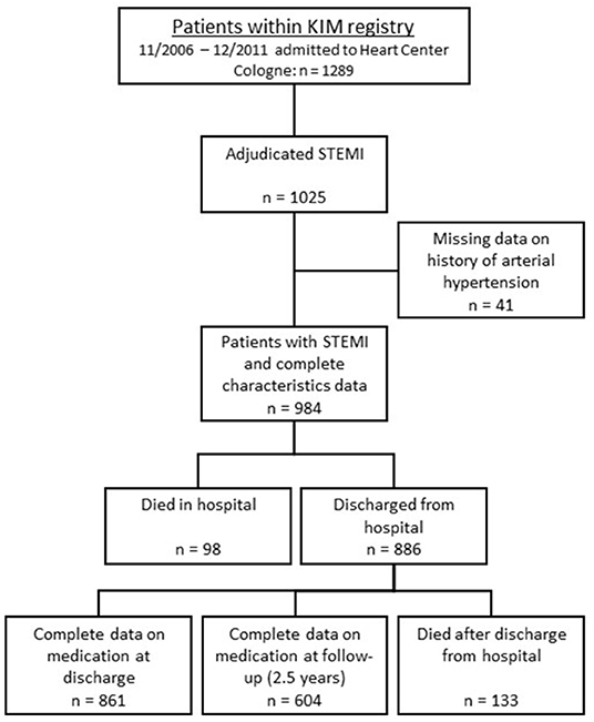 Frontiers The Hypertension Paradox Survival Benefit After St Elevation Myocardial Infarction In Patients With History Of Hypertension A Prospective Cohort And Risk Analysis